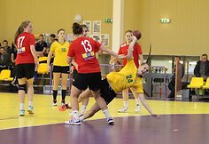 Janio Grinbergo atminimo turnyras