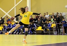 Janio Grinbergo atminimo turnyras