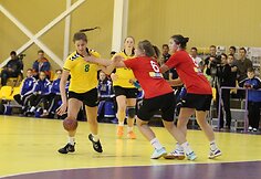 Janio Grinbergo atminimo turnyras