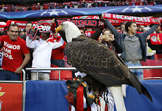 &bdquo;Benfica&ldquo; simbolis erelis stadione