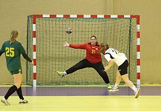 Janio Grinbergo rankinio turnyras