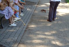 Nuotraukos pavadinimas