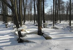 Įkrauk.lt nuotrauka