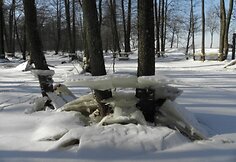 Įkrauk.lt nuotrauka