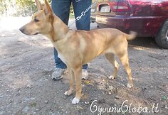 Nuotraukos pavadinimas