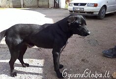Nuotraukos pavadinimas