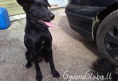 Nuotraukos pavadinimas