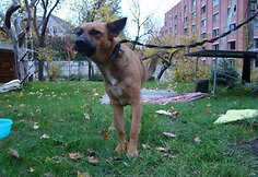 Nuotraukos pavadinimas