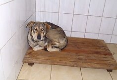 Įkrauk.lt nuotrauka