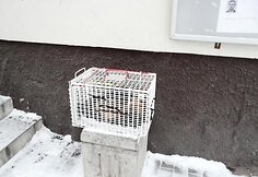 Įkrauk.lt nuotrauka