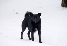 Įkrauk.lt nuotrauka