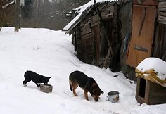 Įkrauk.lt nuotrauka