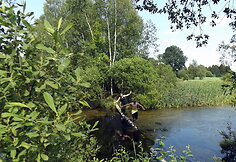 &Scaron;ventė Petrali&scaron;kėje