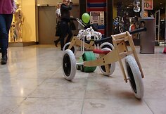 Įkrauk.lt nuotrauka