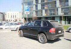 Įkrauk.lt nuotrauka