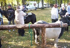 Įkrauk.lt nuotrauka