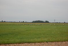 Įkrauk.lt nuotrauka