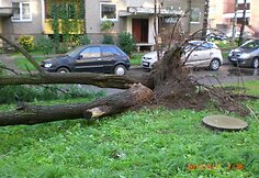 Įkrauk.lt nuotrauka