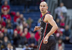 Dovis Bičkauskis