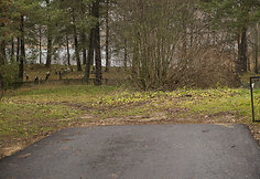 Naujai asfaltuota gatvė Trakuose