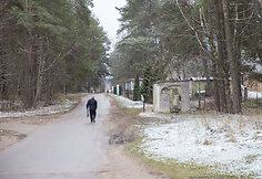Juodšiliai