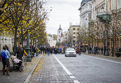 A.G.Astrauskaitė kvietė protestuoti prie&scaron; Vyriausybės neva vykdomą represinę politiką