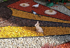 Konkurso &bdquo;Mano kiemas&ldquo; dalyvių Janu&scaron;auskų gėlynas