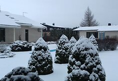 Konkurso &bdquo;Mano kiemas&ldquo; dalyvės Daivos Karmilavičienės kiemas