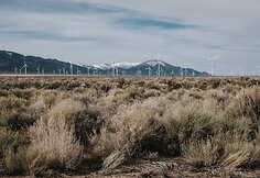 Nevada