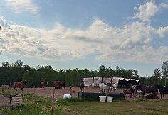 Arklių slėnyje įvykęs gaisras atėmė iš arklių namus