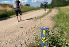 Camino Lituano