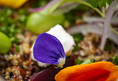 30 geriausių restoranų: „Pachamama Dinner Club“