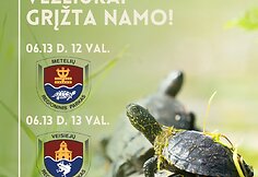 Saugomi baliniai vėžliukai grįžta į gimtąsias Dzūkijos balas