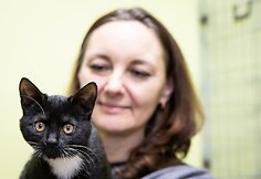 &bdquo;Pet Rescue Finland&ldquo; padeda rasti namus Suomijoje prieglaudų &scaron;unims i&scaron; Lietuvos