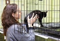 &bdquo;Pet Rescue Finland&ldquo; padeda rasti namus Suomijoje prieglaudų &scaron;unims i&scaron; Lietuvos