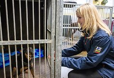 &bdquo;Pet Rescue Finland&ldquo; padeda rasti namus Suomijoje prieglaudų &scaron;unims i&scaron; Lietuvos