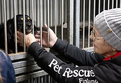 &bdquo;Pet Rescue Finland&ldquo; padeda rasti namus Suomijoje prieglaudų &scaron;unims i&scaron; Lietuvos