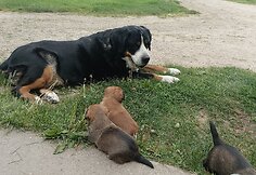 Lietuvių kalbos mokytojos Mildos Ratomskienės augintiniai