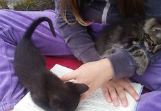 Indrė Kontrauskienė padeda beglobiams katinėliams