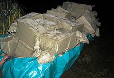 Iš Nemuno ištrauktos baltarusiškos cigaretės