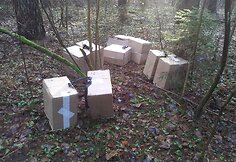 Kontrabandinės cigaretės