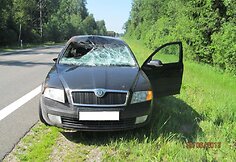 Avarija kelyje Panevėžys–Aristava–Sitkūnai