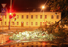 Viniuje vėjas i&scaron;vartė medžius
