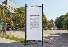 Paulina Pukytė, &bdquo;Vilniaus kontekstai&ldquo;