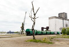 Andrejsala 