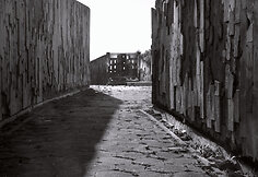 Kauno bienalė