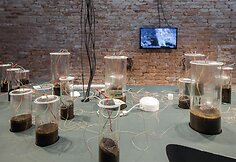 Lietuvos paviljonas Venecijos architektūros bienalėje