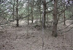 Įkrauk.lt nuotrauka