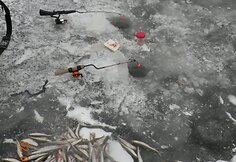 Įkrauk.lt nuotrauka