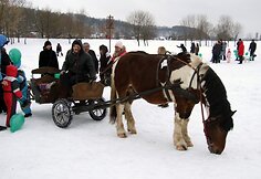 Įkrauk.lt nuotrauka